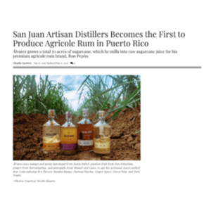 Screen-Shot-2022-11-30-at-11.11.53-AM-300x243